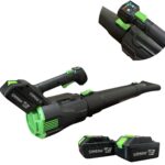 Акумулаторна въздуходувка STAHLMAYER  36v-8Ah. Духалка за листа 2 батерии и зарядно